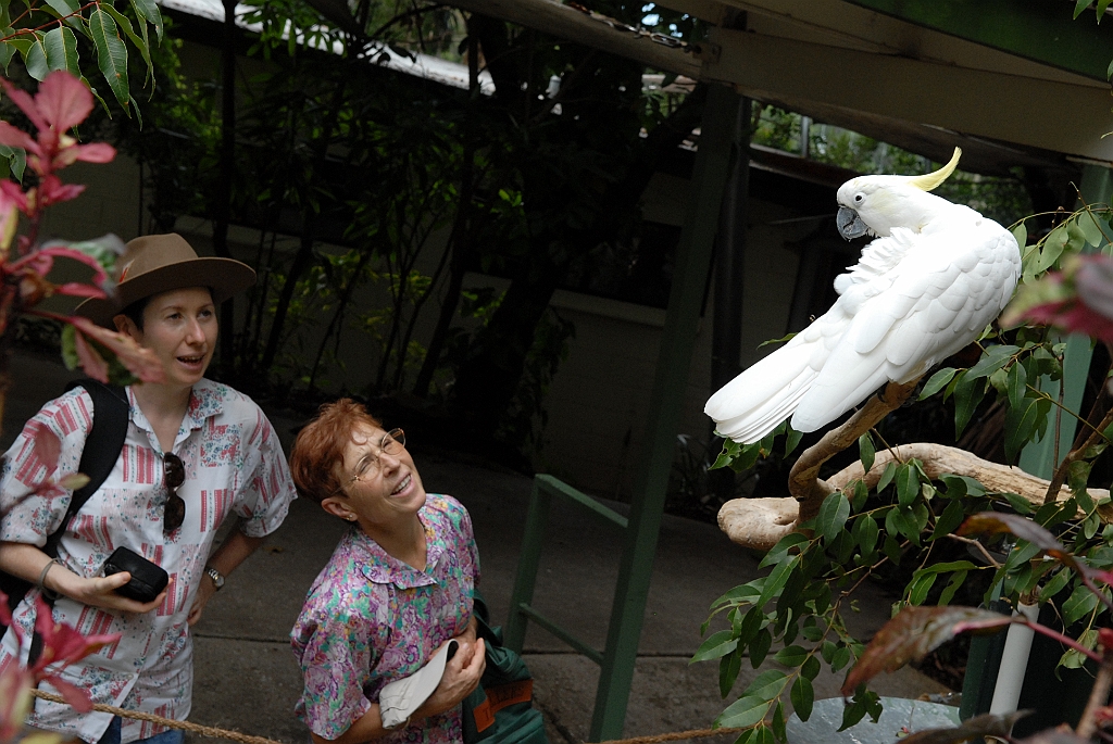 0095 Cairns Tropical Zoo.jpg